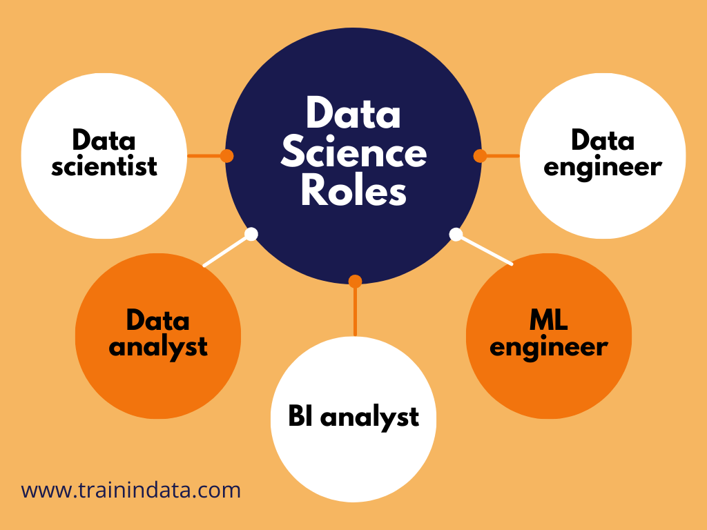 Data science roles and positions