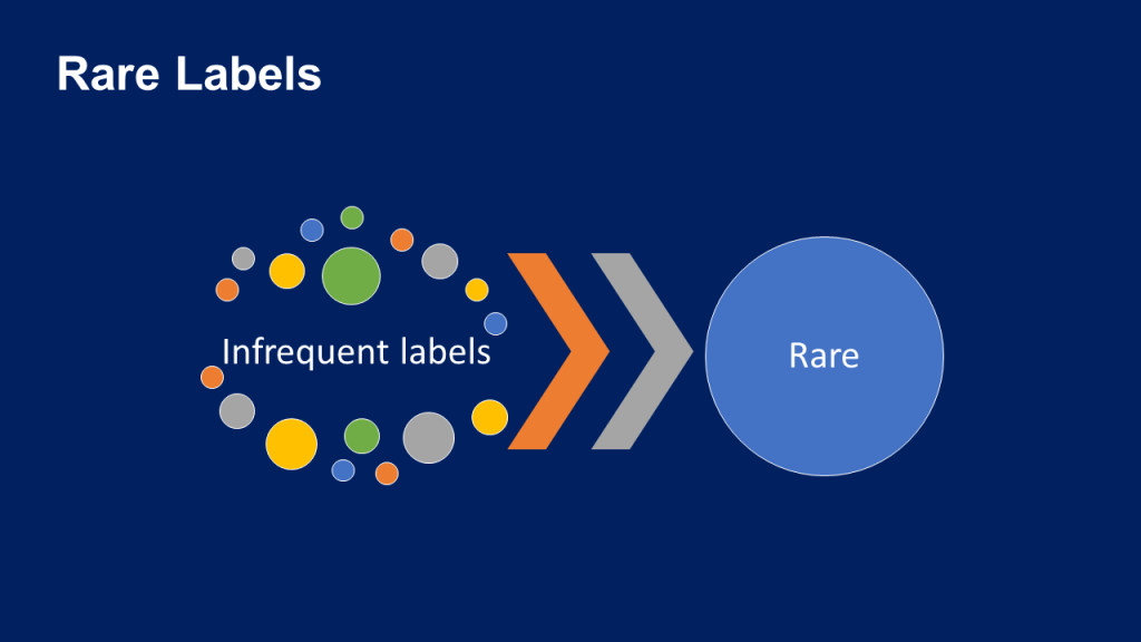 Diagram showing the process of grouping rare categories.