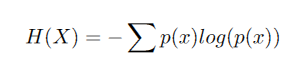 Entropy equation