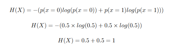 entropy of a fair coin toss