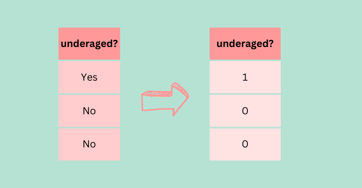Diagram showing the result of one-hot encoding a binary variable with 2 categories only.