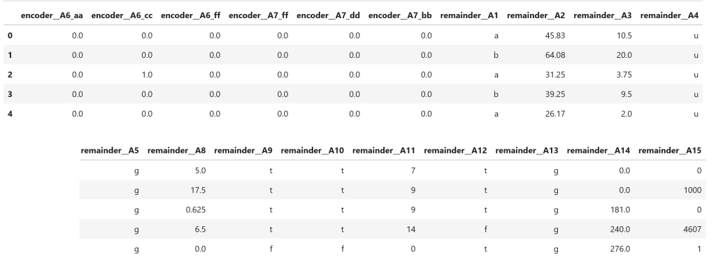 Dataframe with the result of applying one hot encoding to a subset of the categories in the variable.